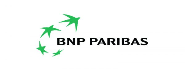 BNP logo NEW WEBSITE